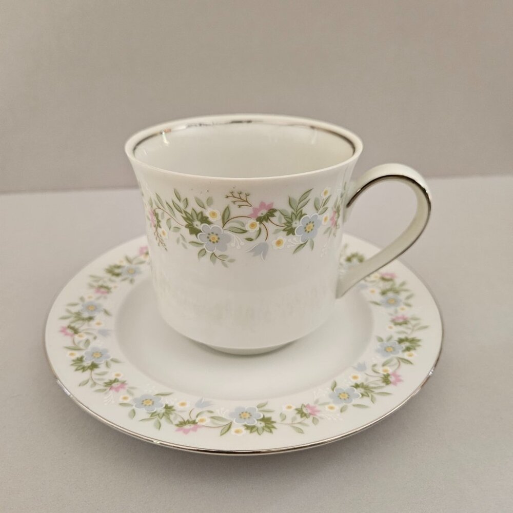 Forever Spring by Johann Haviland, China Cup & Saucer Unused Bavarian Fine China
